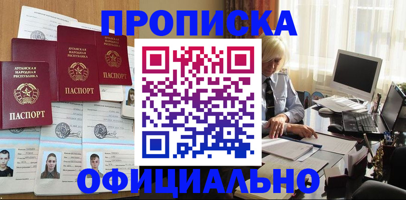 прописка 2025 в Камышине